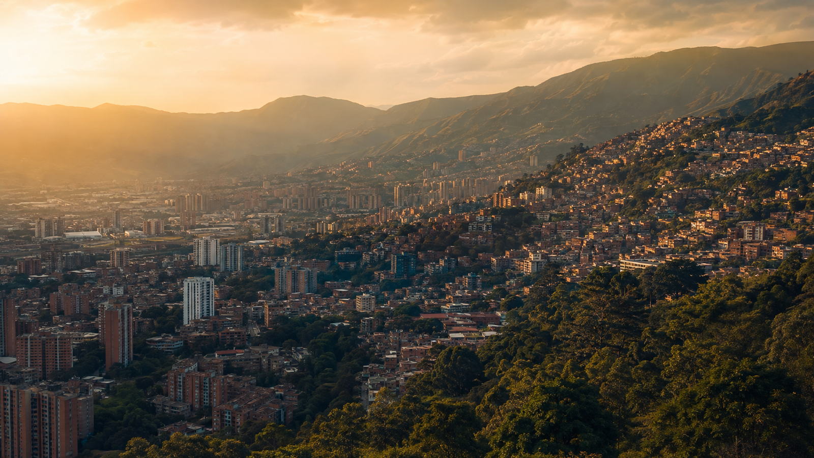 Medellín spread across the valley at golden hour, neighbourhoods climbing the hillside